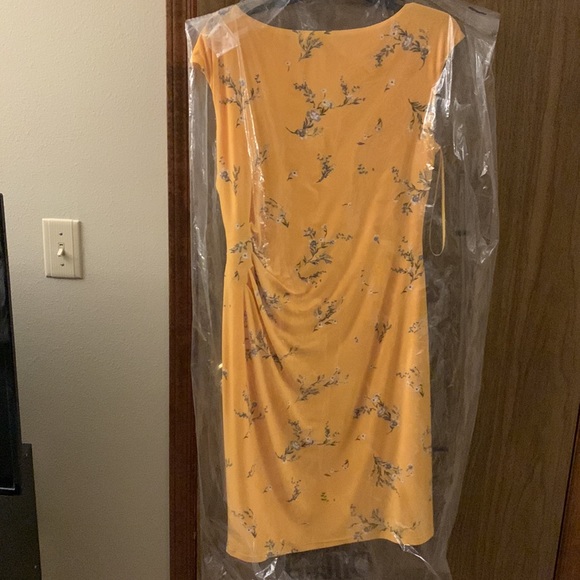 NWT Lauren by Ralph Lauren dress - Picture 3 of 5